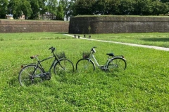 Lucca in bicicletta 